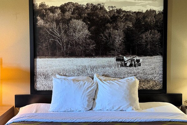 Standard Room, 1 King Bed