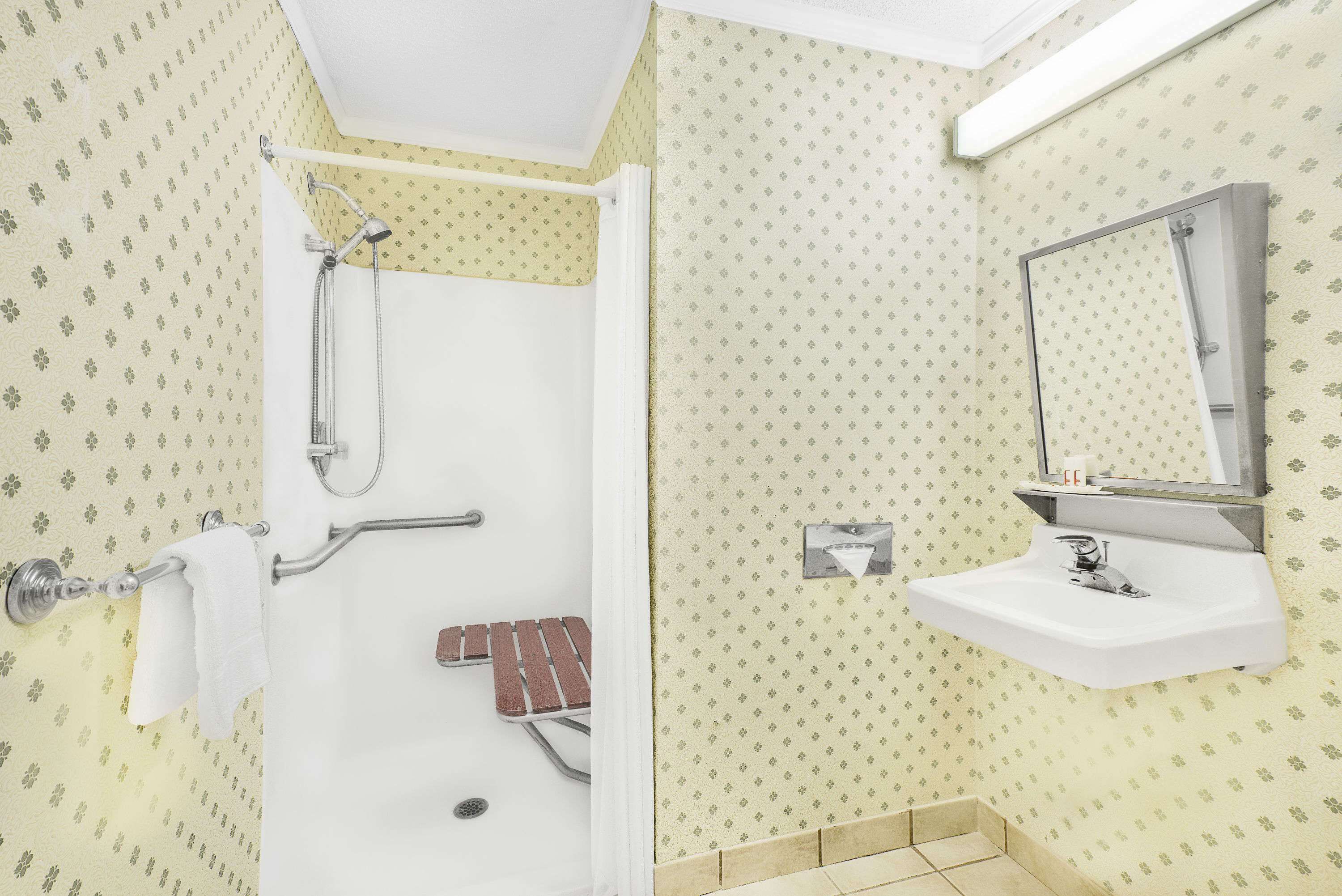 room, 1 queen bed, accessible, non smoking (mobility accessible) | bathroom | free toiletries, hair dryer, towels