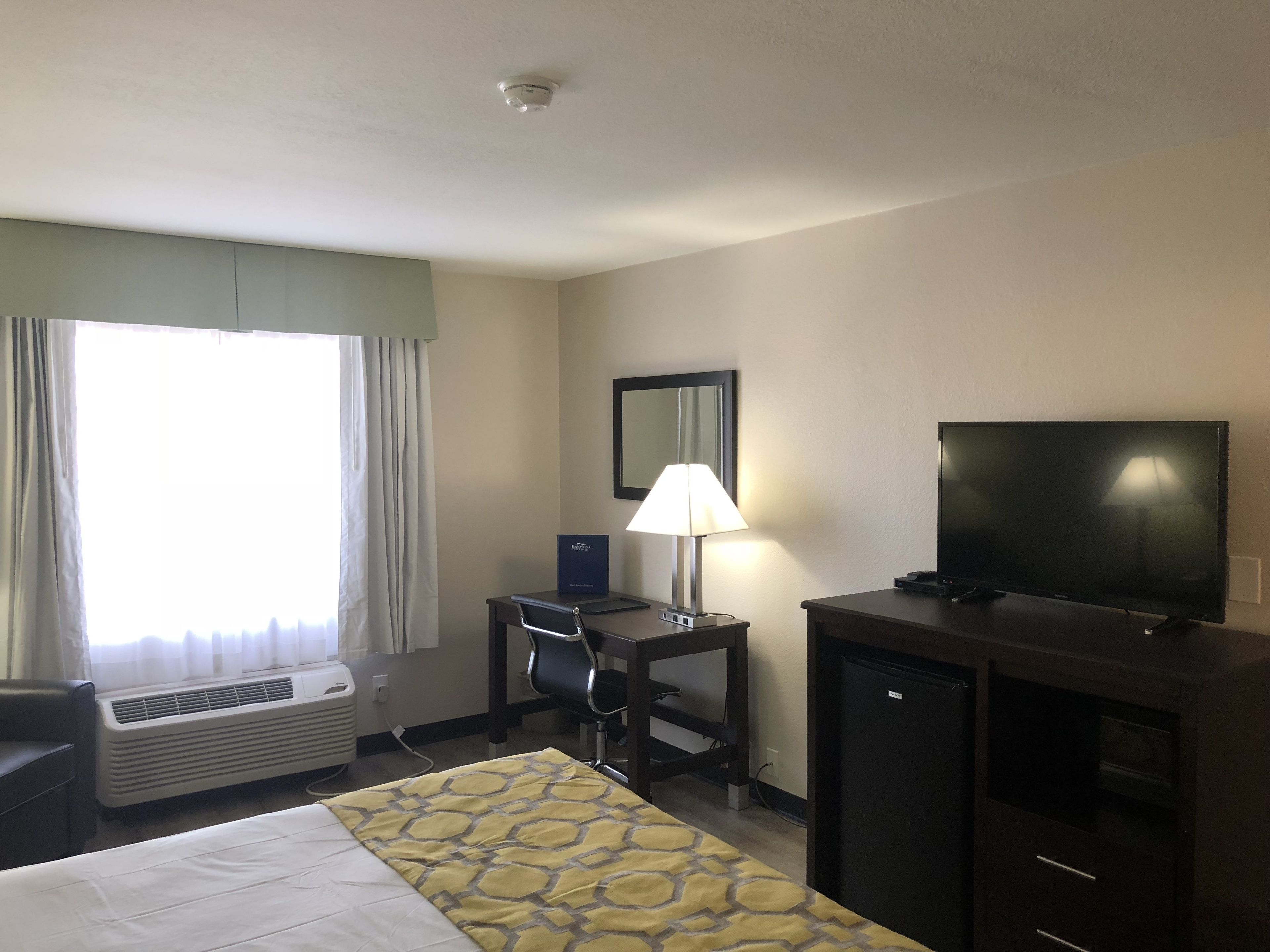 A hotel room with a bed, a desk, a chair, a television, a lamp, and a heater.