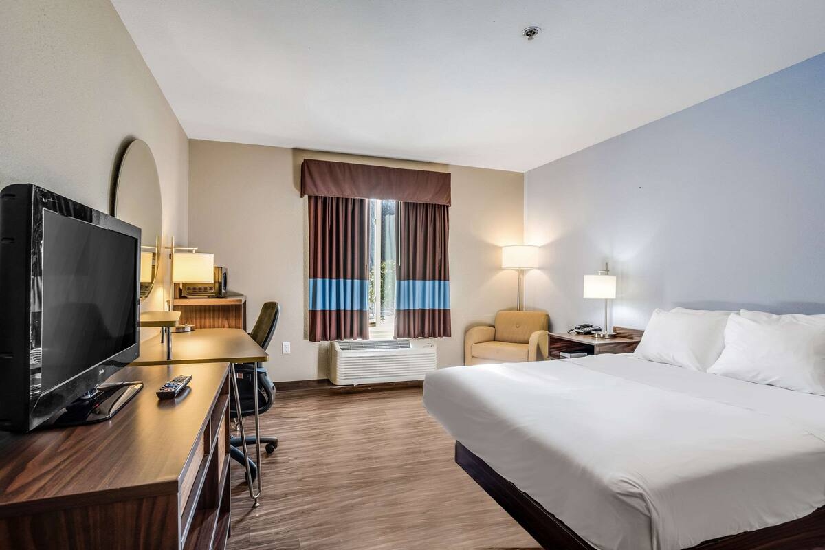 A hotel room with a bed, a desk with a TV, a chair, a lamp, and a window with curtains.