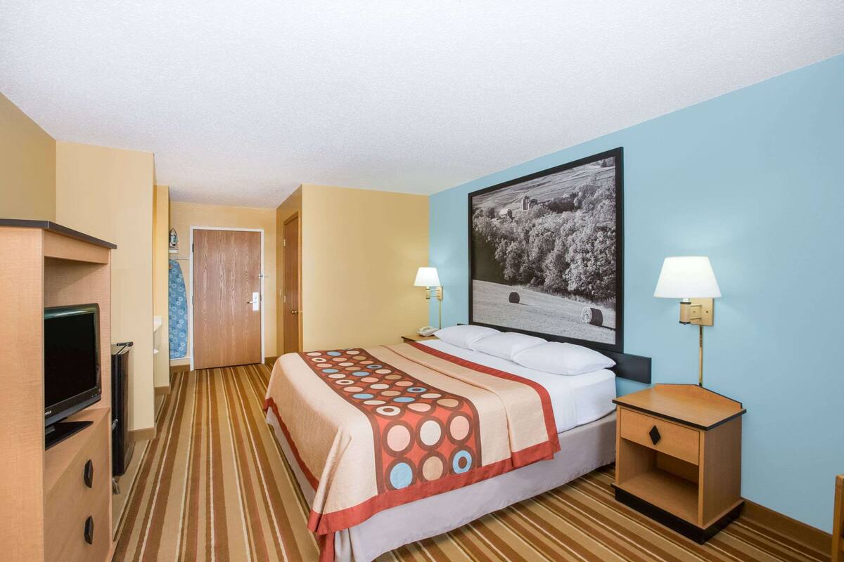 Une chambre d’hôtel avec un lit, deux lampes de chevet, un téléviseur et un tableau encadré au mur.