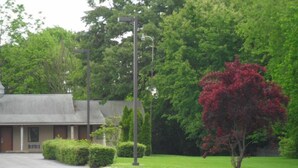 A building with a flat roof, a parking lot, and a well-maintained lawn with a single tree. - Red Carpet Inn (Gloucester City)