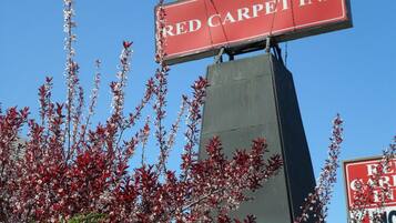 A Red Carpet Inn sign with a clear view of the surrounding architecture and a flowering tree.