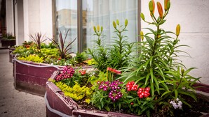 A series of flower beds with various plants and flowers in front of a building. - Peterborough Inn & Suites Hotel (Peterborough)