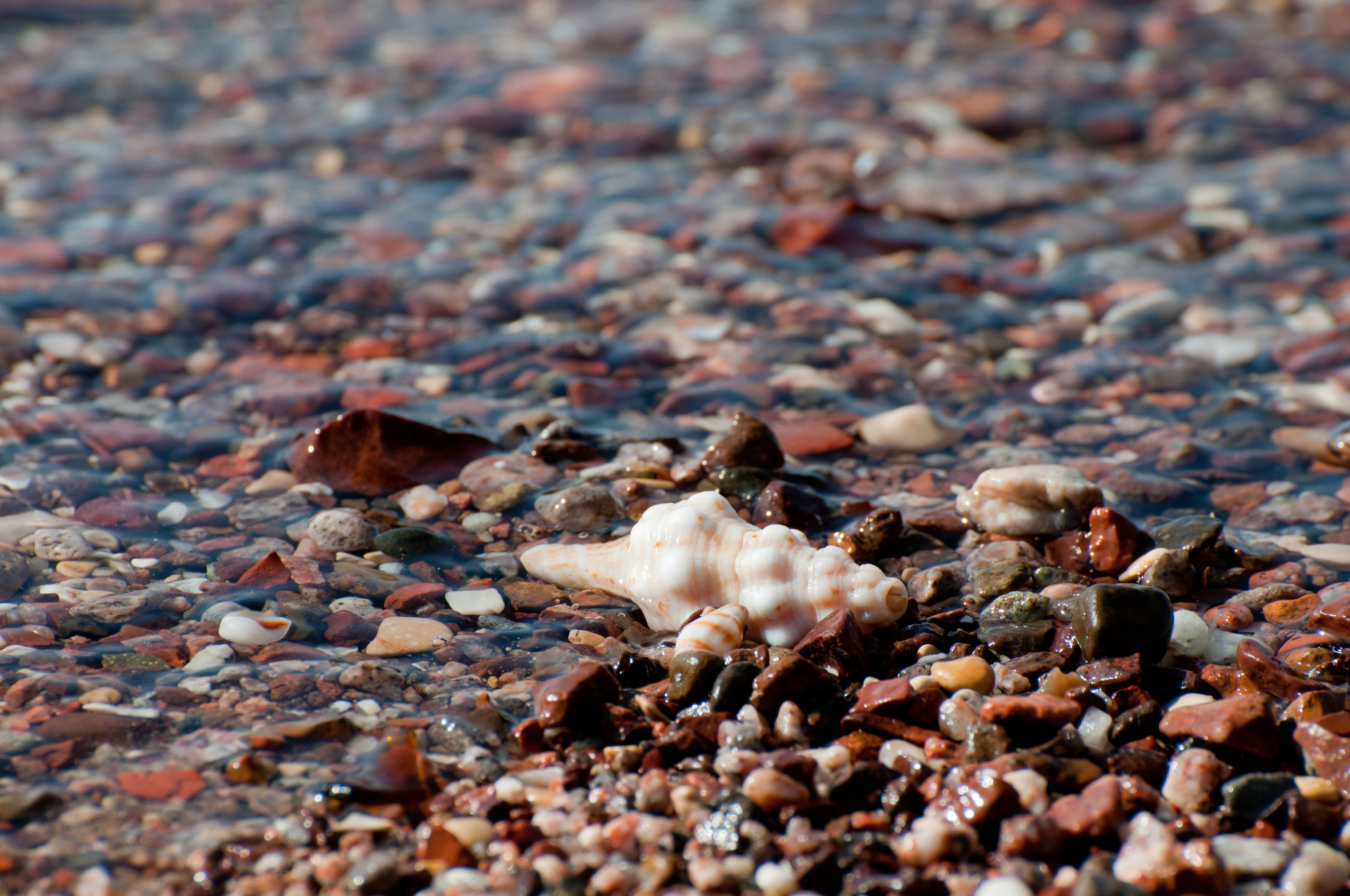 private beach nearby, sun-loungers