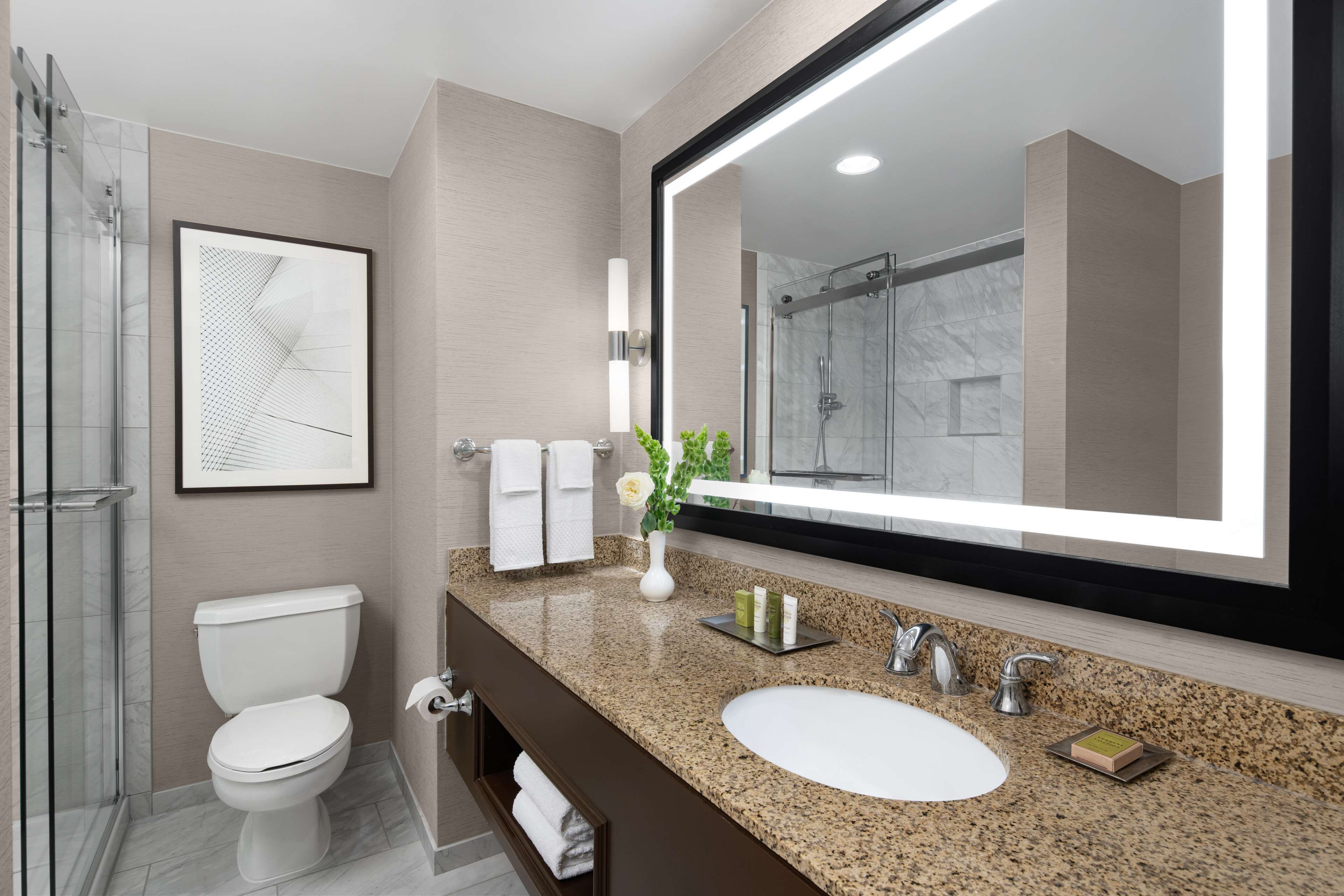 designer toiletries, hair dryer, towels, soap