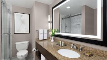 A modern bathroom with a large mirror, a granite countertop, a sink, a toilet, and a shower area.