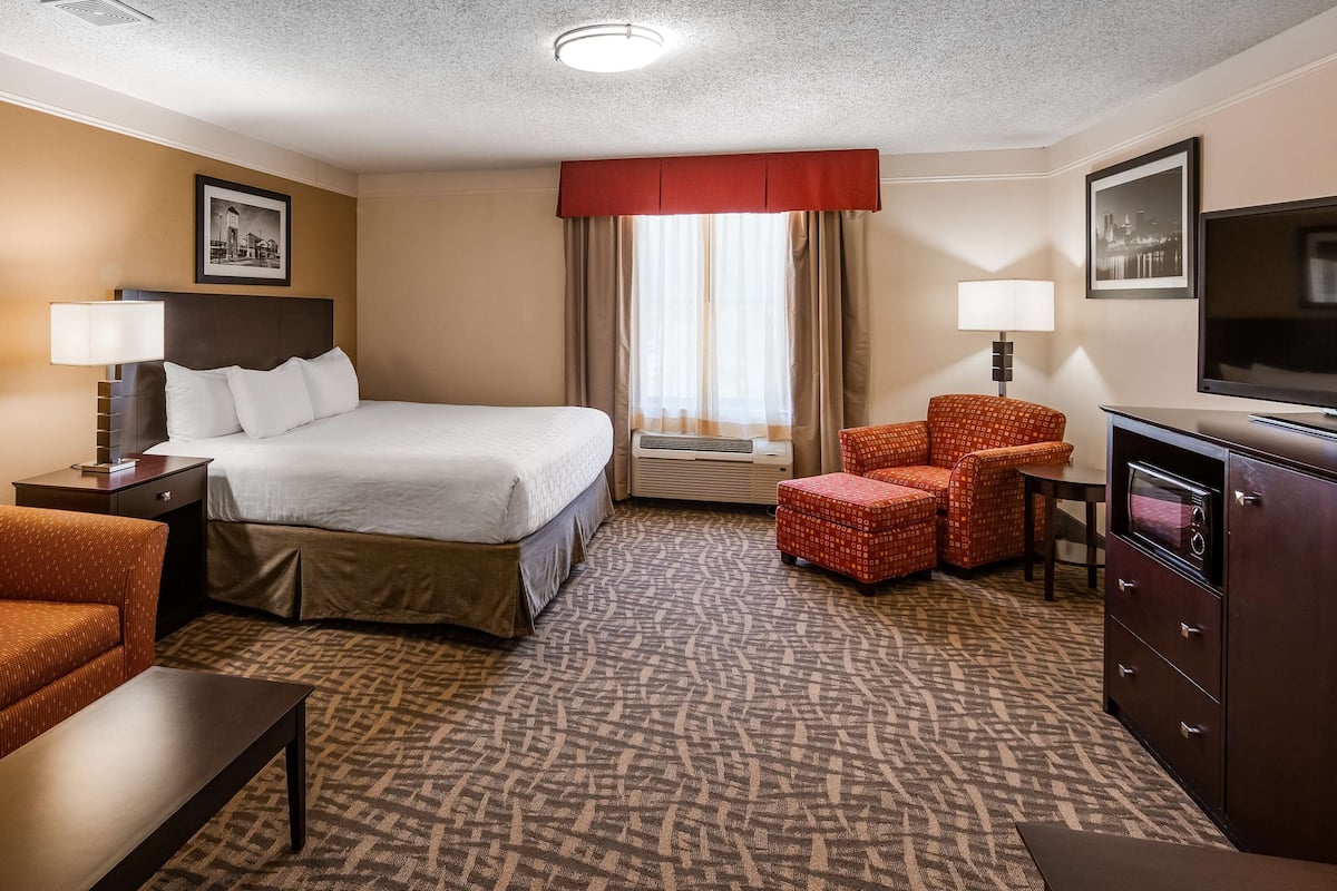 A hotel room with a bed, a desk, a chair, a sofa, a television, and a microwave.