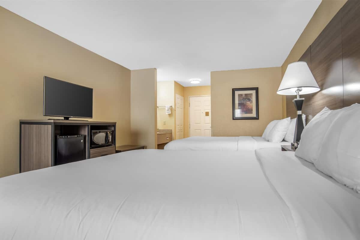 Una habitación de hotel con dos camas, televisión, microondas y lámpara.