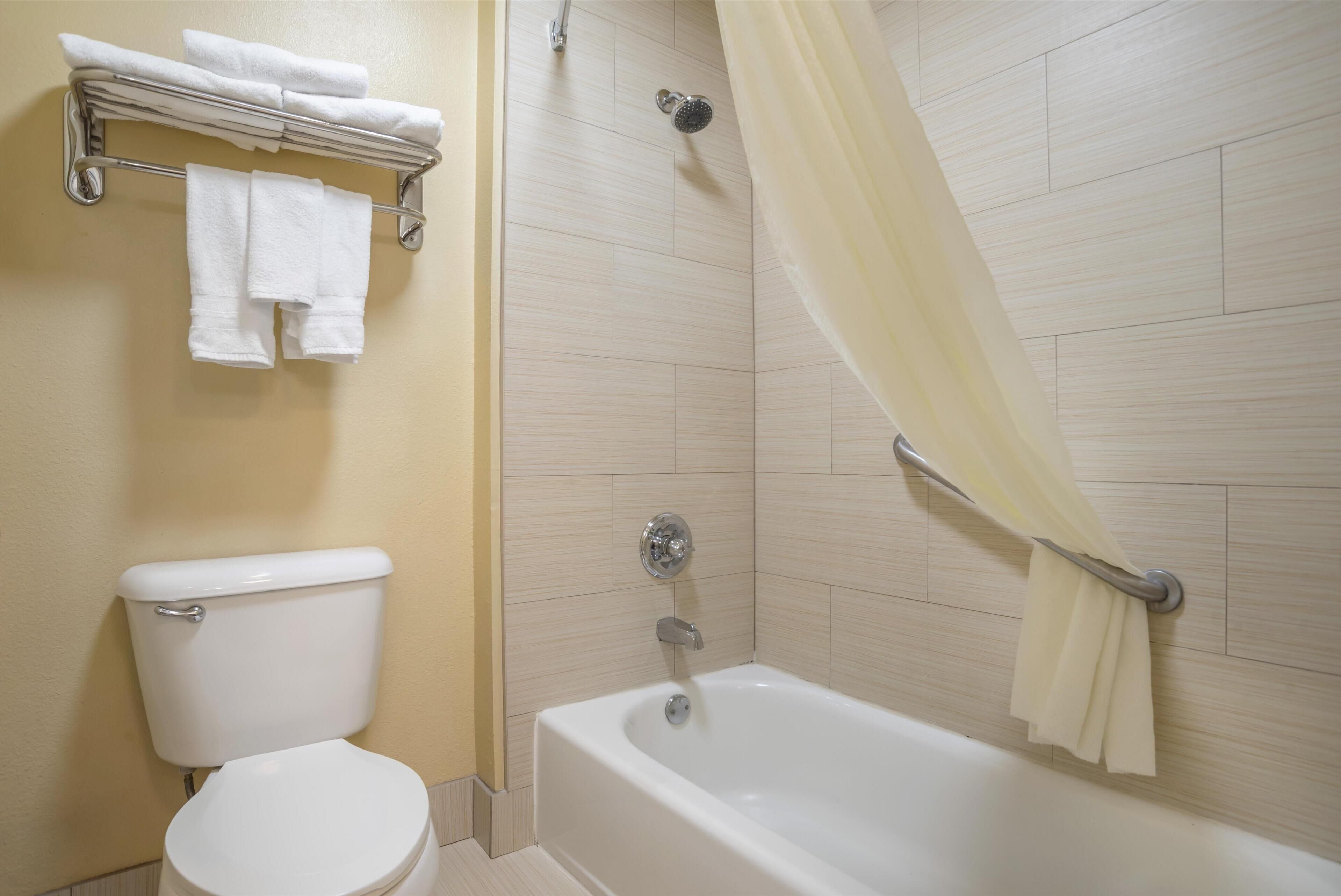 A bathroom with a toilet, a bathtub, and a shower.