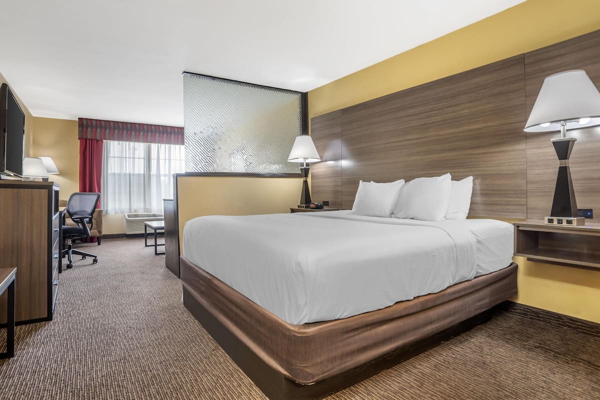 Una habitación de hotel con una cama grande, un escritorio con silla, un televisor y una lámpara.