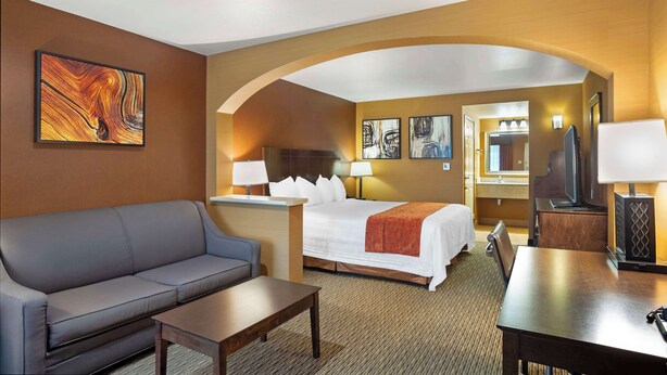 Una habitación de hotel con cama, sofá, escritorio, televisor y obras de arte en las paredes.
