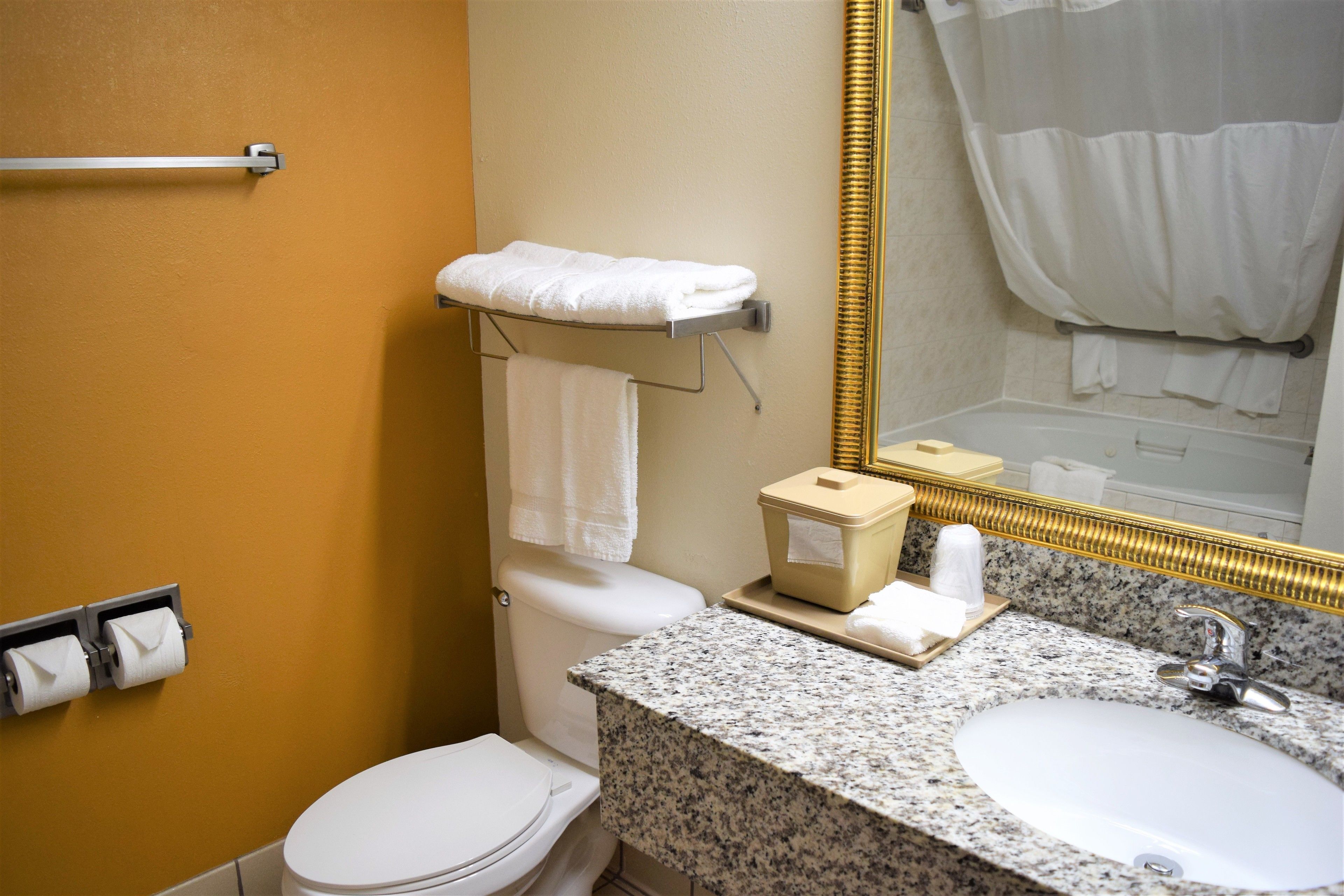 Une salle de bain équipée de toilettes, d’un lavabo, d’un porte-serviettes et d’un miroir.