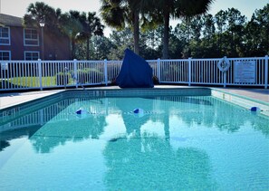 Outdoor pool, sun loungers