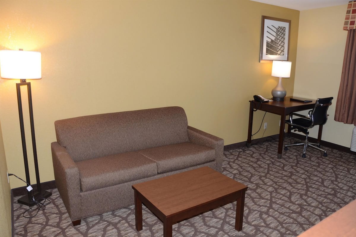 Sala d'estar | Televisor de pantalla plana, Netflix, Hulu i llibres