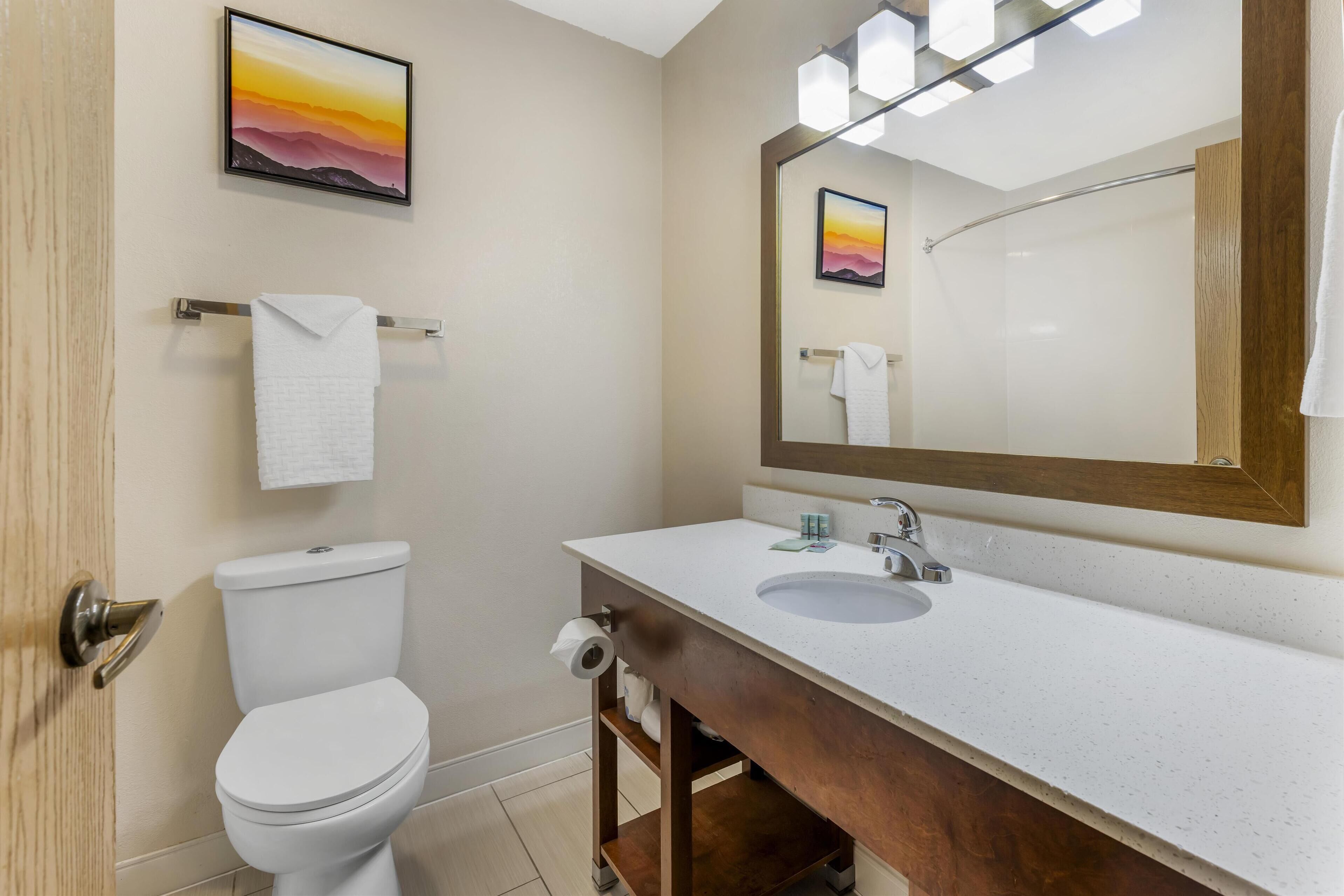 A modern bathroom with a white toilet, a sink with a wooden vanity, and a large mirror.