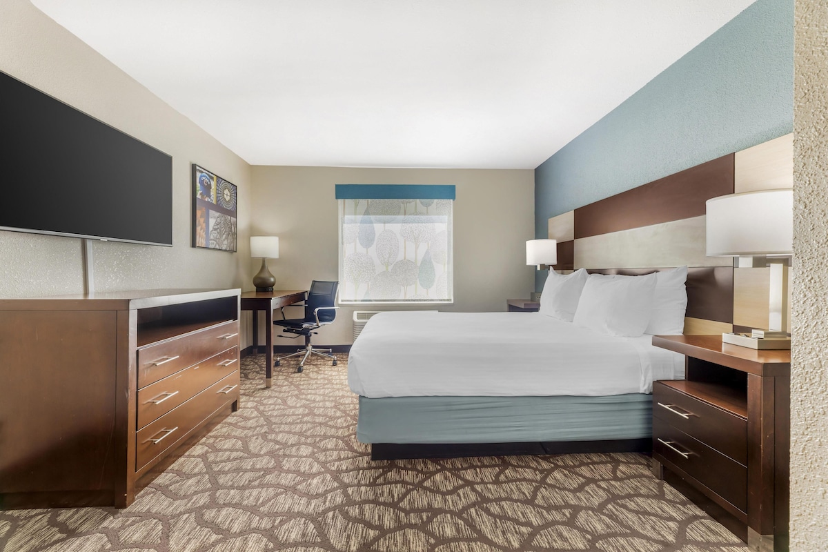 A hotel room with a large bed, a desk, a chair, a television, and a window with a view of trees.