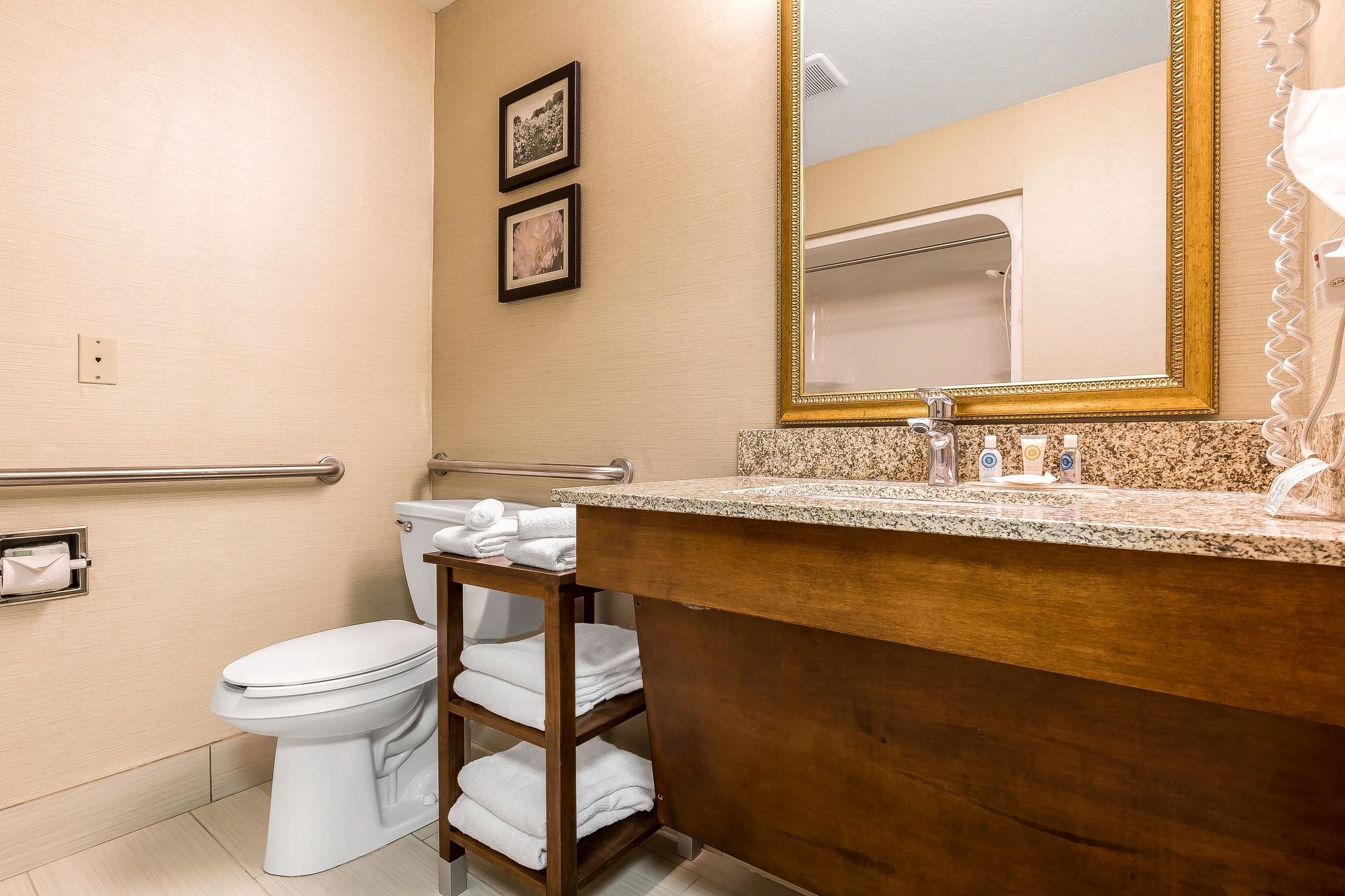 A bathroom with a toilet, a towel rack, a vanity with a mirror, and a sink.