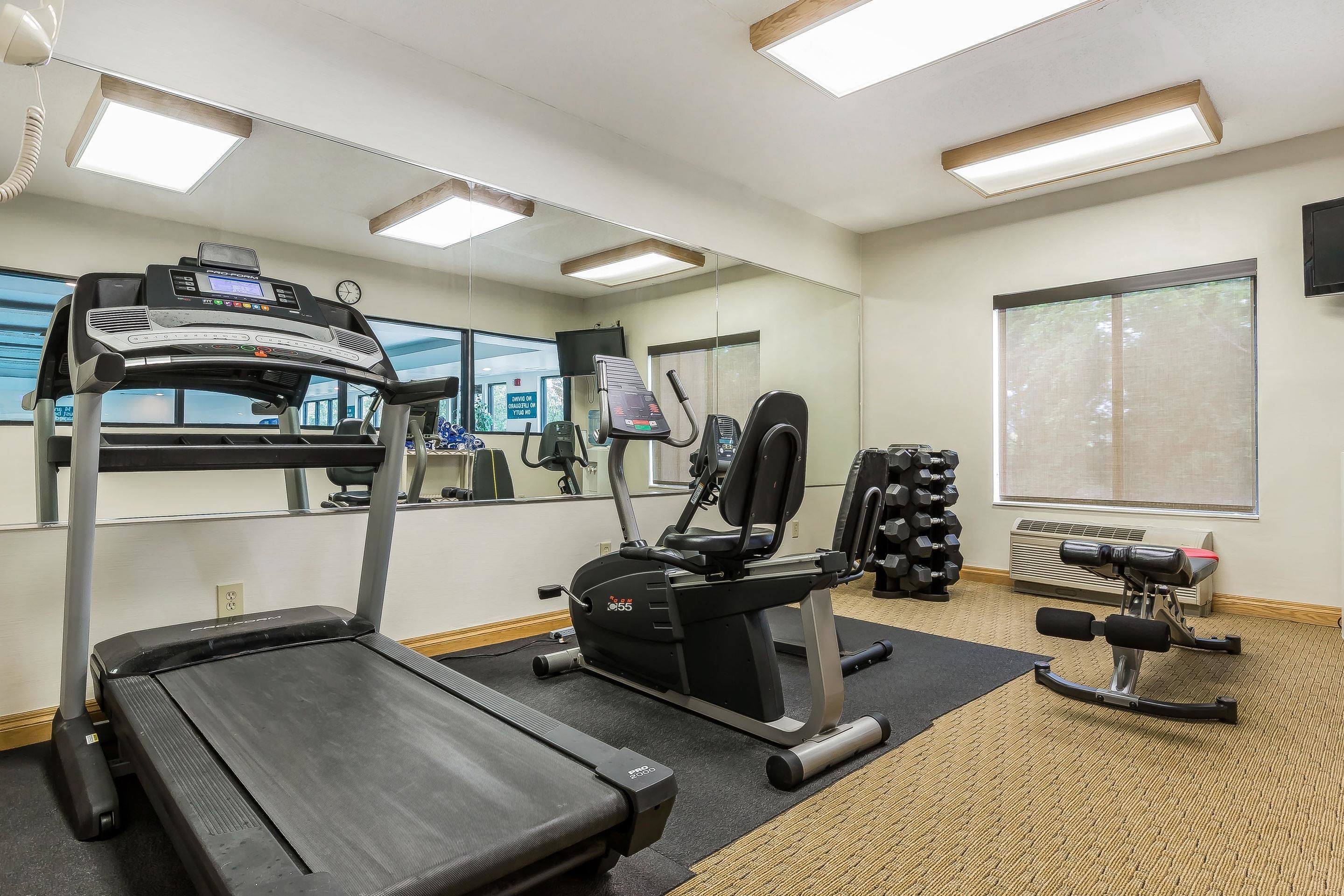 A gym with a treadmill, elliptical, and weight machines.