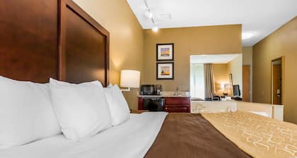 Comfort Inn & Suites Mishawaka - South Bend