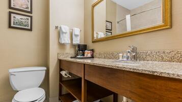 Combined shower/bathtub, free toiletries, hair dryer, towels