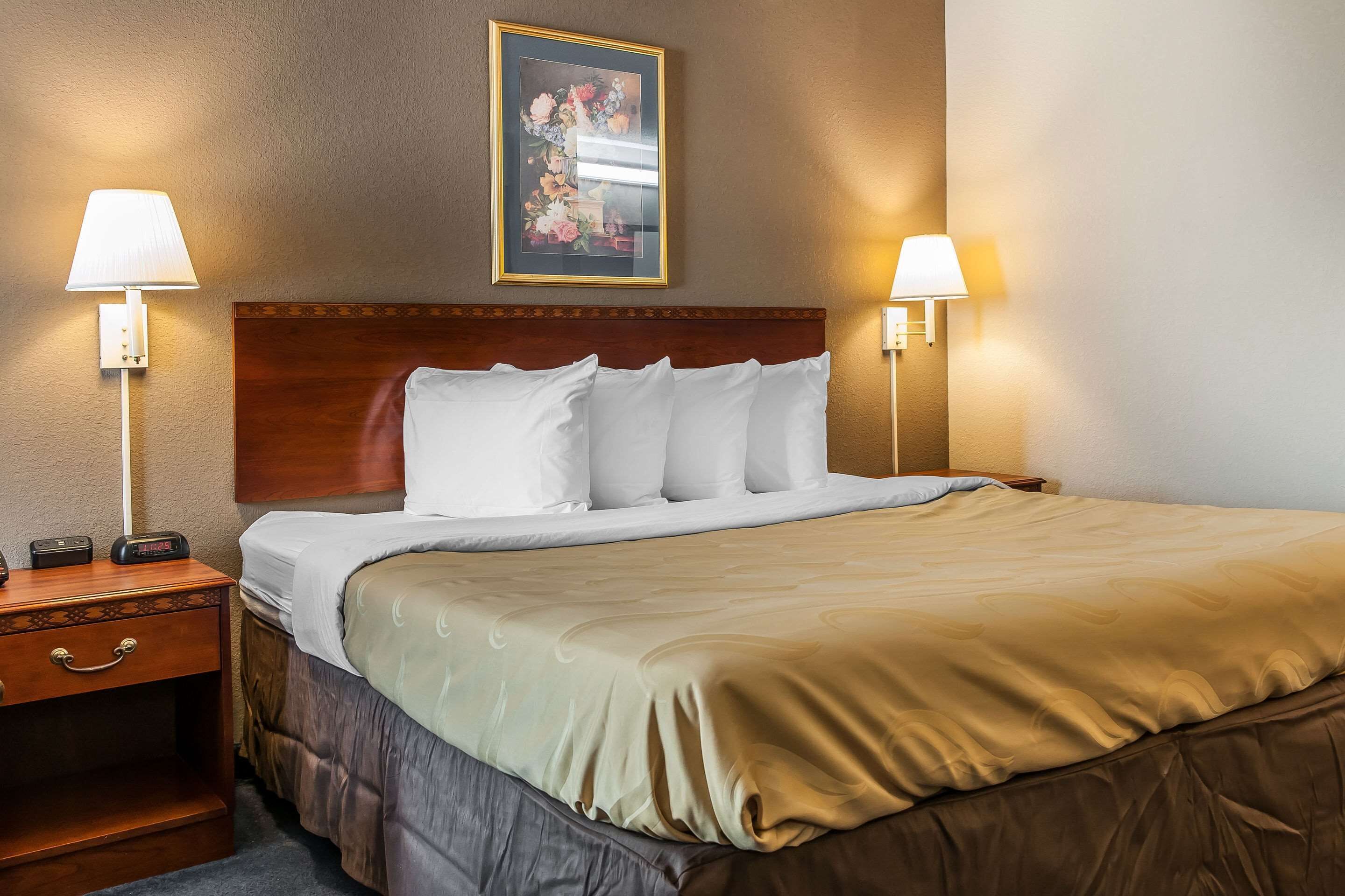 A hotel room with a large bed, two bedside lamps, a nightstand, a framed picture on the wall, and a wooden headboard.