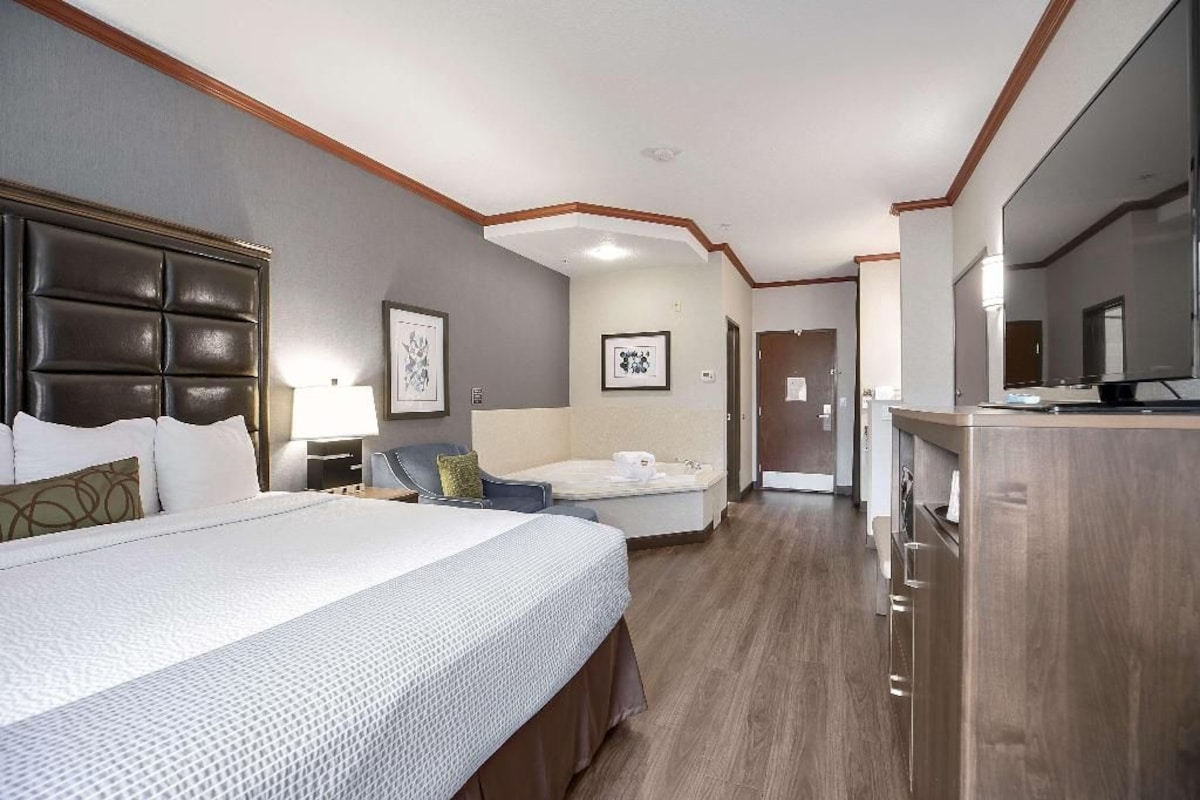 Sábanas de algodón egipcio, ropa de cama de alta calidad y escritorio 