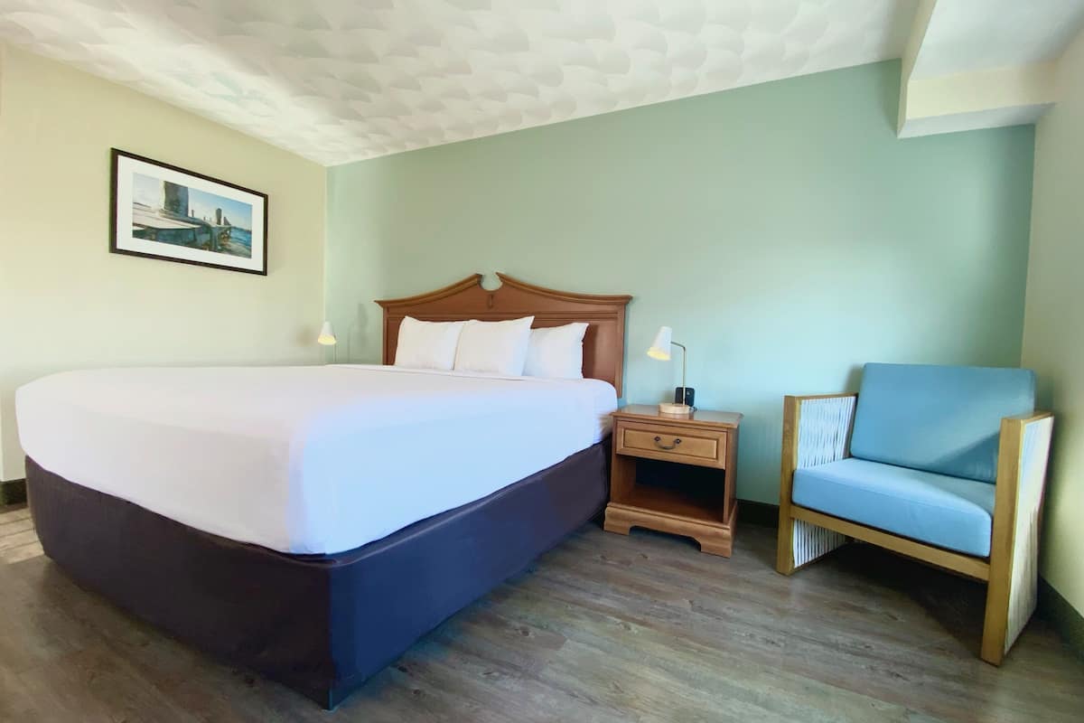 Standardrum - 1 kingsize-säng | 1 sovrum, allergitestade sängkläder, skrivbord och arbetsyta för laptop