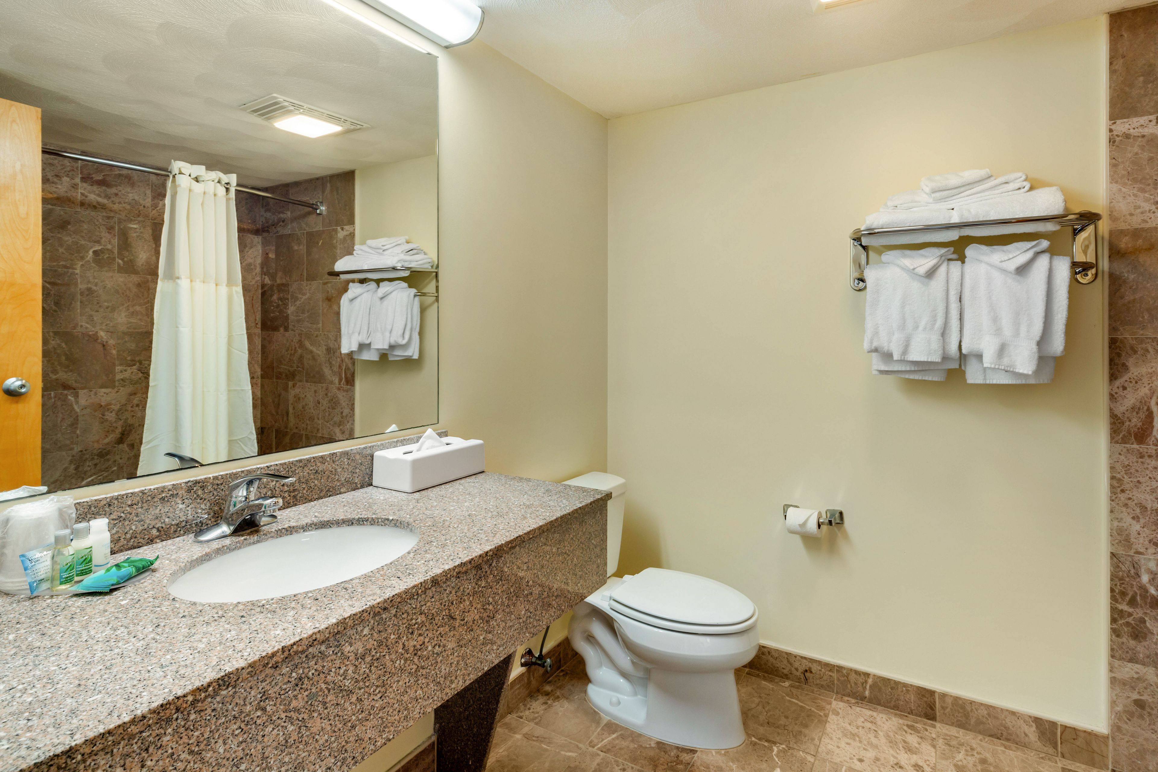 A bathroom with a granite sink, a toilet, a towel rack, and a shower curtain.