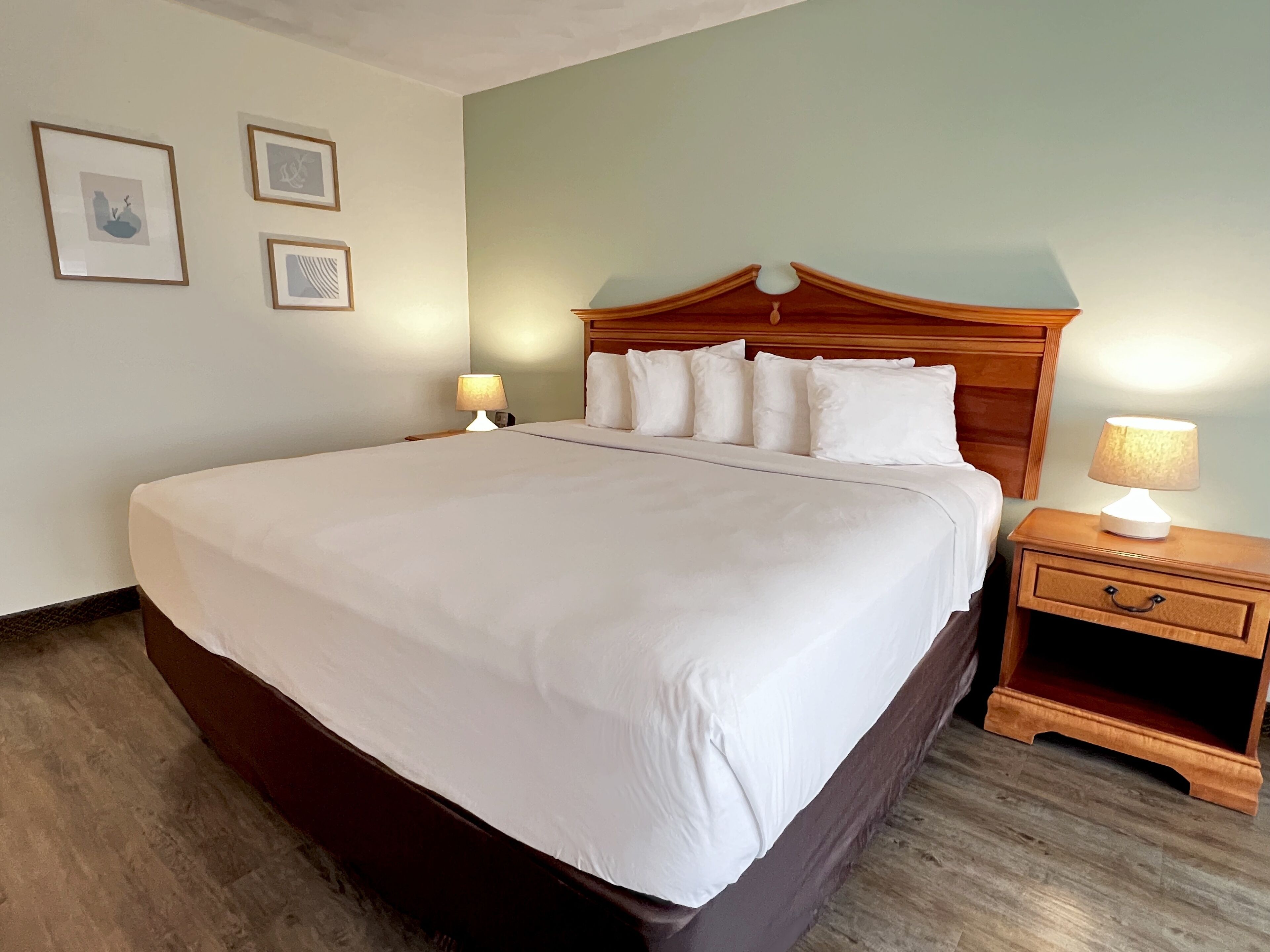 Standard Room, 1 King Bed (Main Building) | 1 bedroom, hypo-allergenic bedding available, desk, laptop workspace