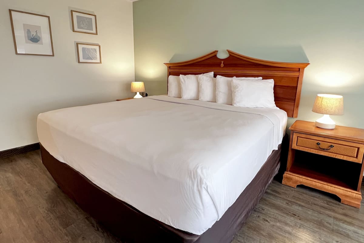 Standardrum - 1 kingsize-säng | 1 sovrum, allergitestade sängkläder, skrivbord och arbetsyta för laptop