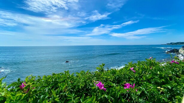 A coastal view with a clear sky and ocean. - Atlantic Beach Hotel Newport (Middletown)