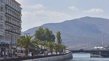 A waterfront promenade with a stone walkway, palm trees, and a mountain in the background.