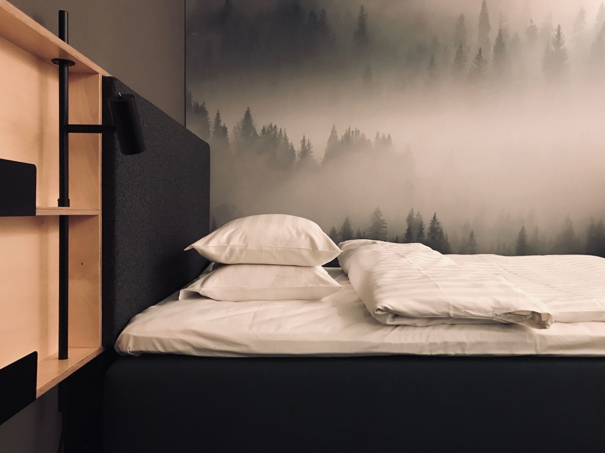 A bed with white bedding and pillows, a dark headboard, and a wall with a forest and fog mural.