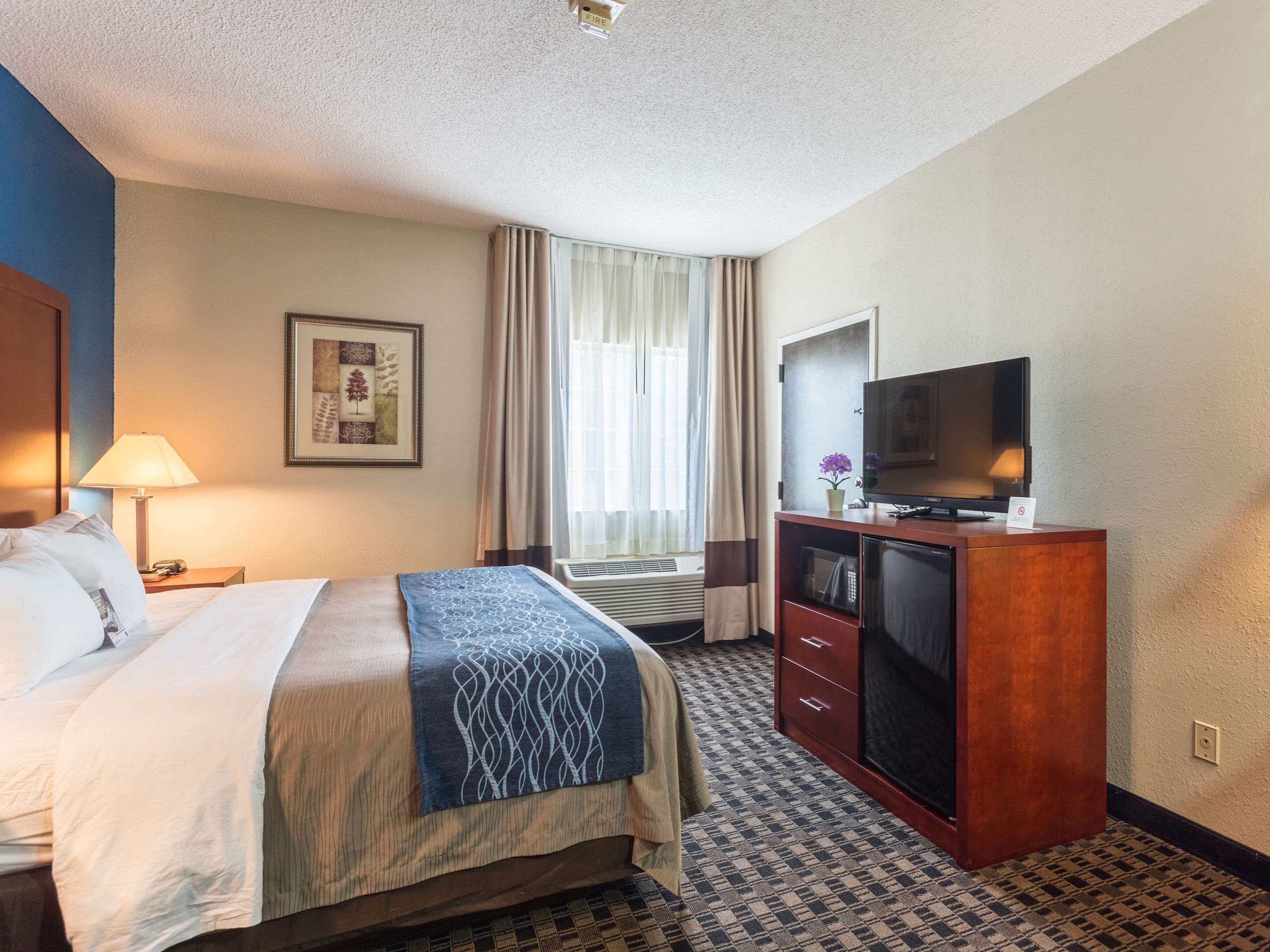 Habitación de hotel con cama, escritorio con lámpara, televisor y ventana con cortinas.