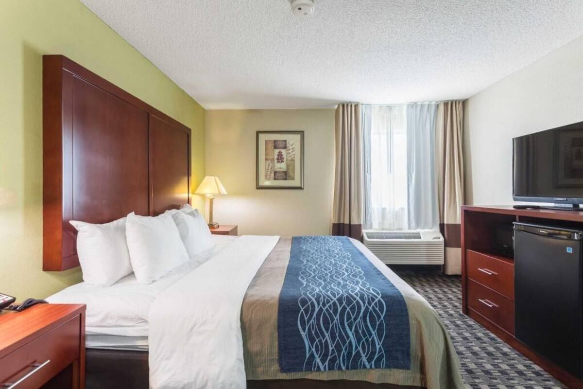 Premium bedding, in-room safe, iron/ironing board, free WiFi