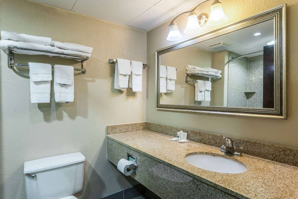 combined shower/bathtub, free toiletries, hair dryer, towels