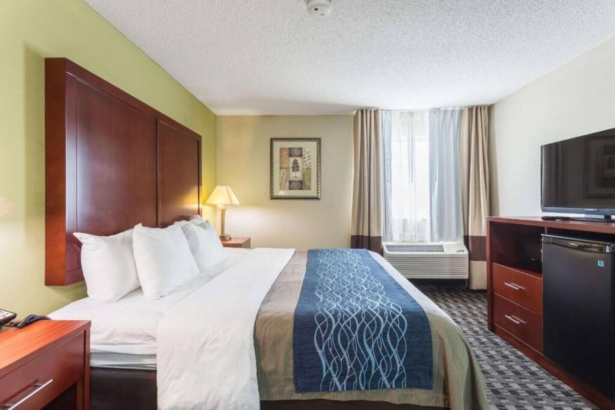 A hotel room with a bed, a desk, a television, a lamp, a picture on the wall, and a window with curtains.
