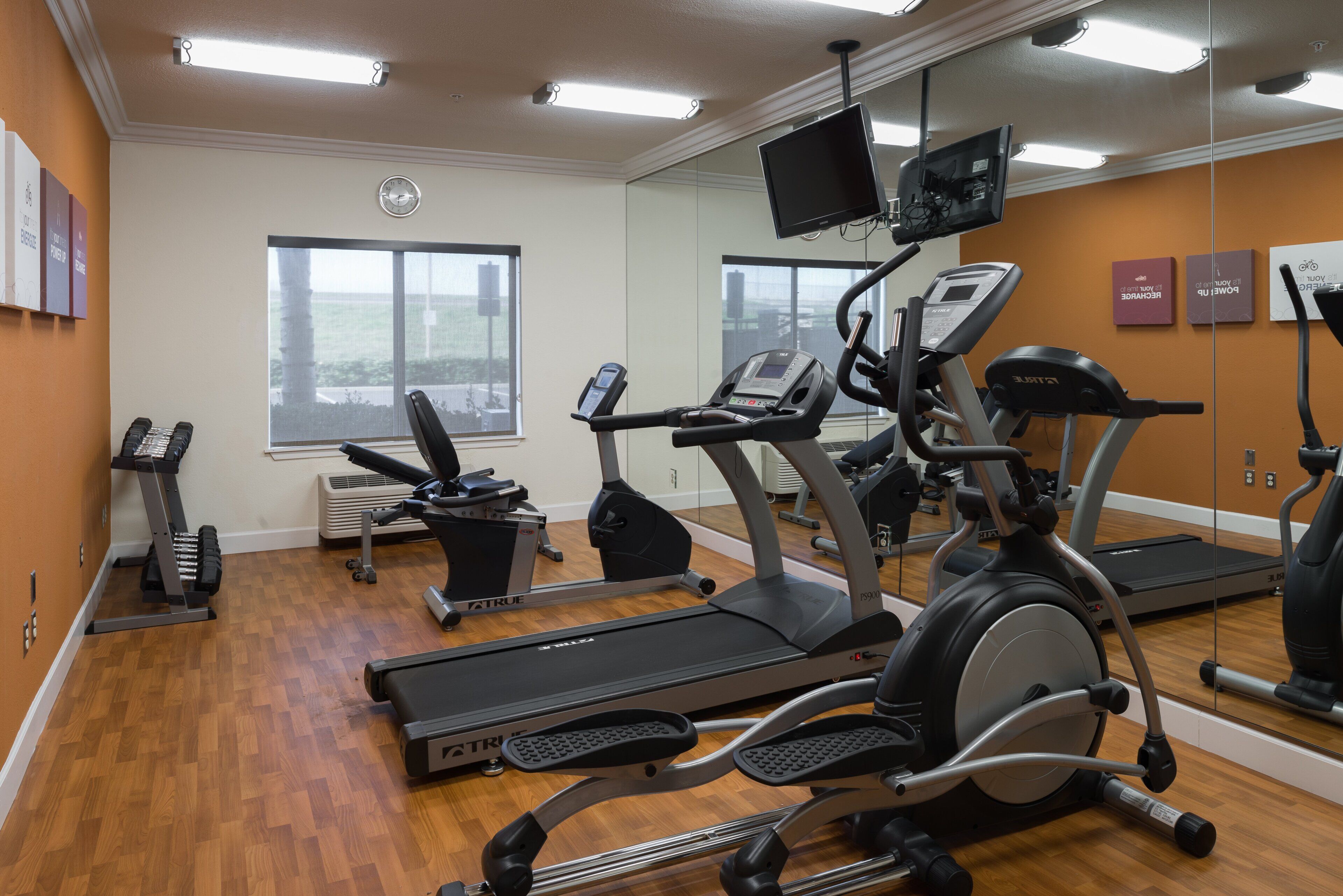 A gym with treadmills, stationary bikes, and a mirrored wall.