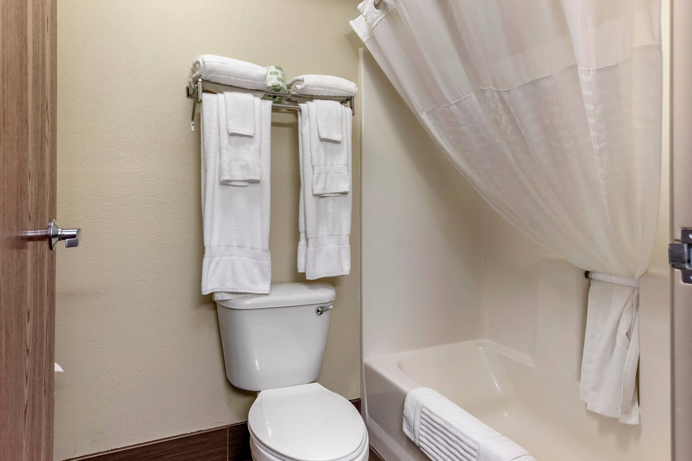 A bathroom with a toilet, a bathtub, and a shower curtain.