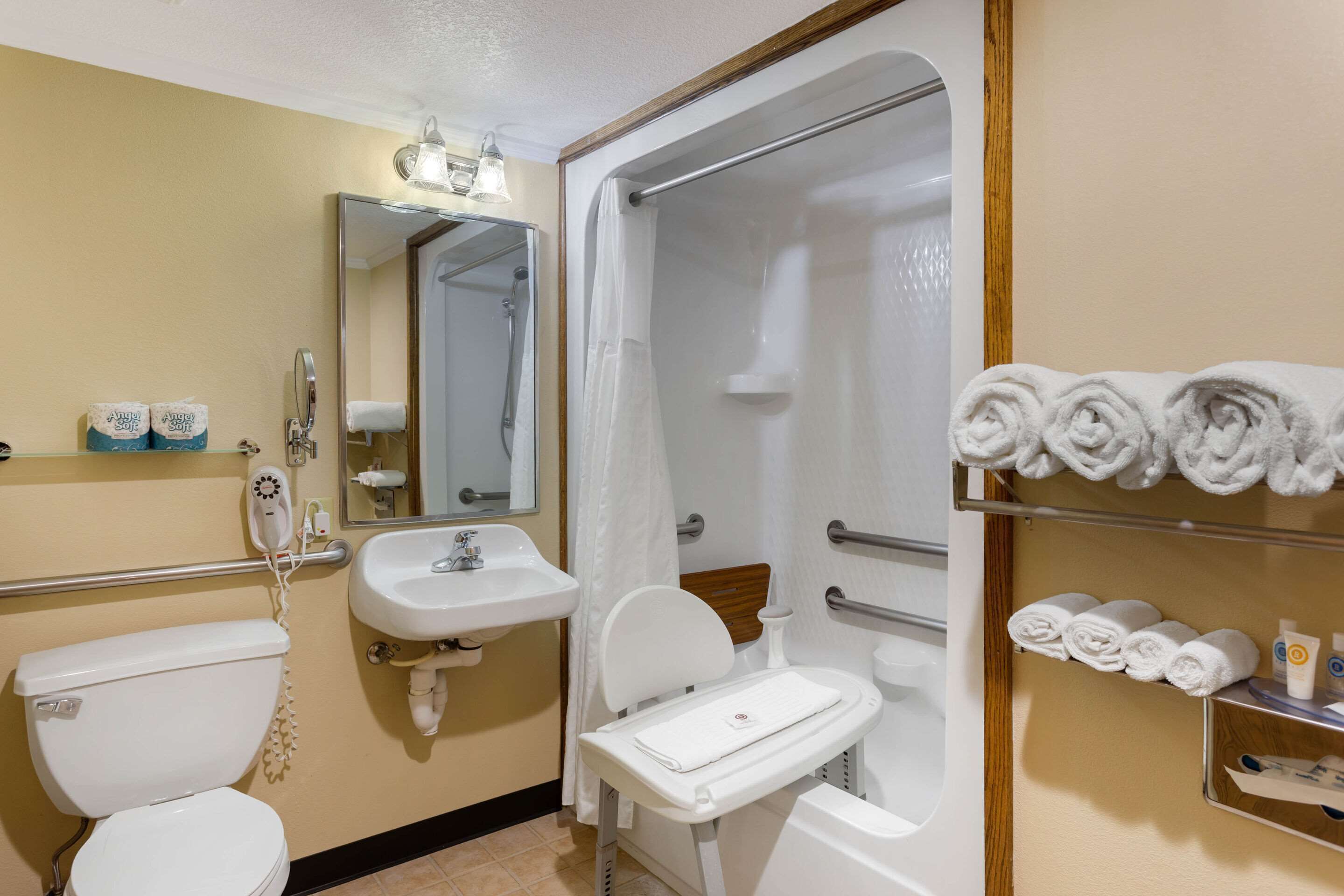 room, 1 king bed, accessible, non smoking | bathroom | combined shower/bathtub, free toiletries, hair dryer, towels