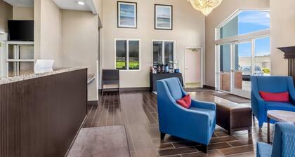 Comfort Inn Elko