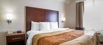 Comfort Inn Elko
