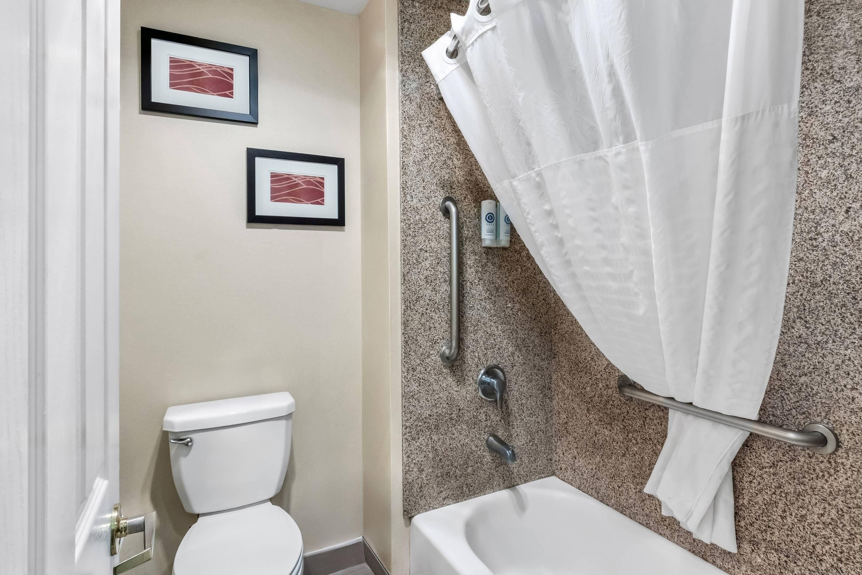 Een badkamer met een toilet, een bad, een douchegordijn en twee ingelijste foto's aan de muur.
