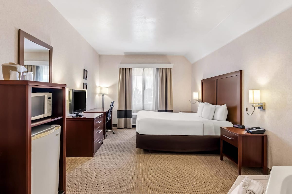 Standard Room, 1 King Bed, Non Smoking | Premium bedding, desk, laptop workspace, iron/ironing board
