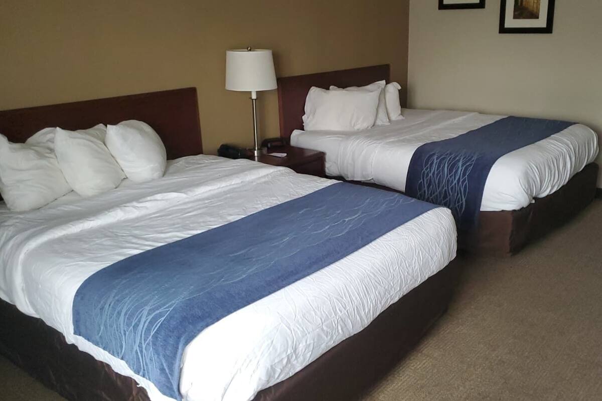 Two double beds with white and blue bedding, a bedside table with a lamp, and a plain wall with two framed pictures.