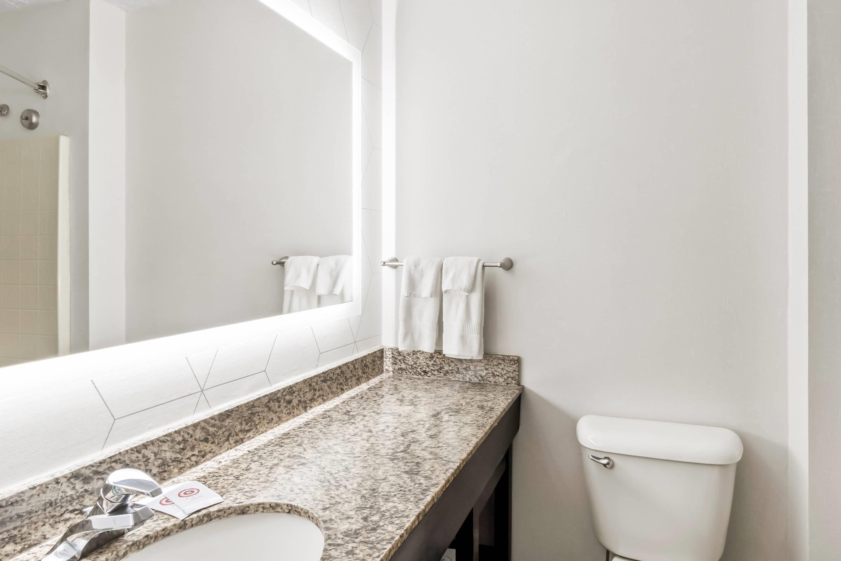 Un bagno con top in granito, lavandino bianco, specchio e water.