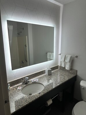 Bathroom features a large mirror, granite countertop sink, and a shower area with a glass door and handheld showerhead.