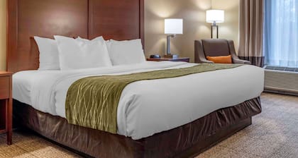 Comfort Inn Duncansville - Altoona