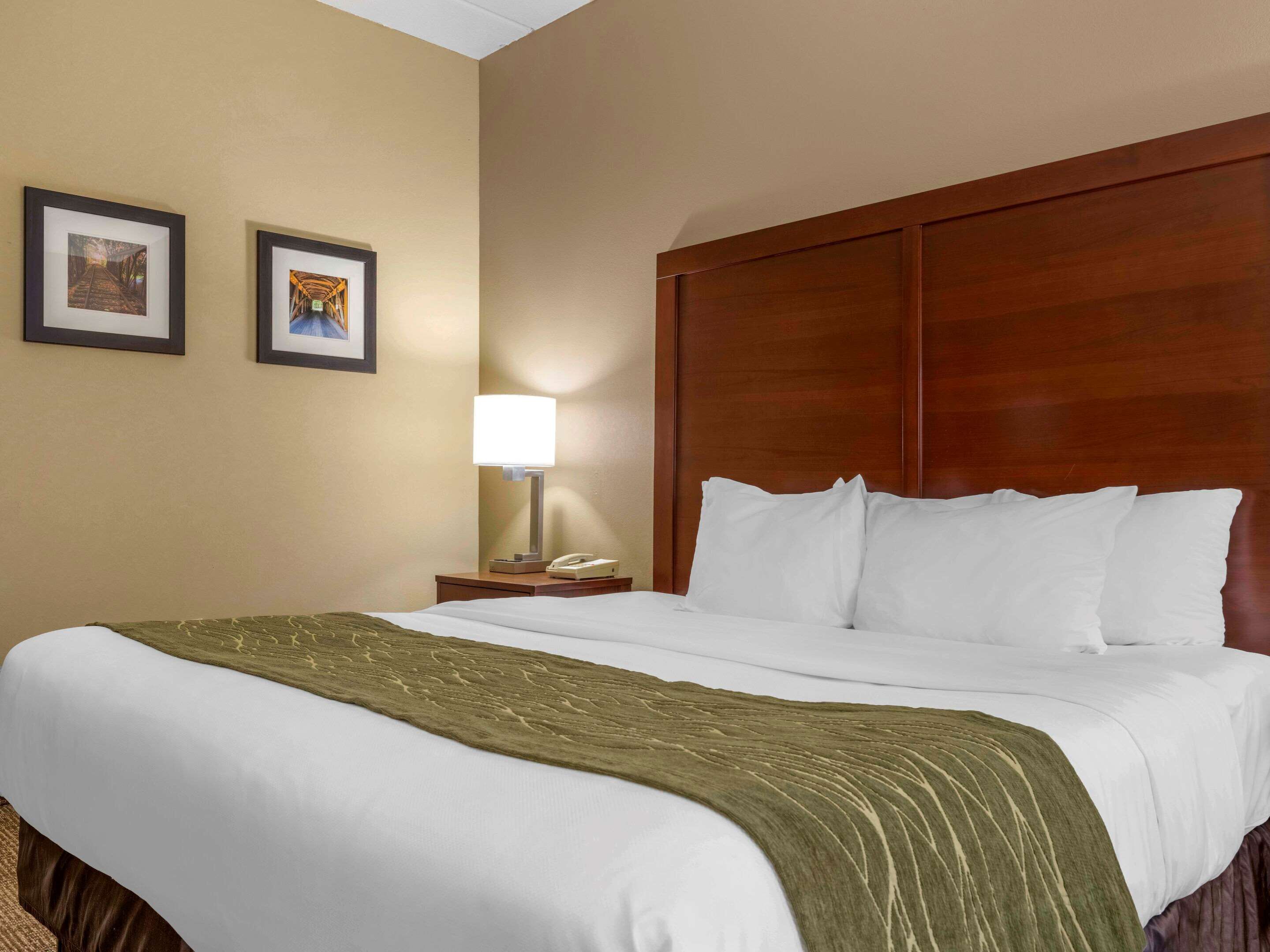 Une chambre d’hôtel avec un grand lit, une tête de lit en bois, deux tableaux encadrés au mur, une lampe de chevet et un téléphone sur la table de chevet.